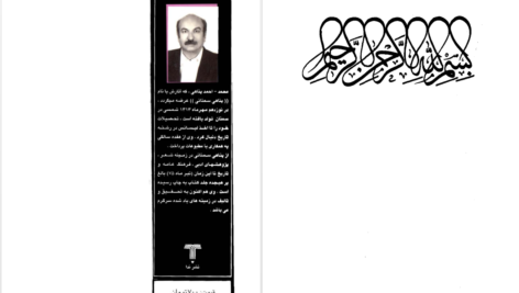 دانلود پی دی اف کتاب سلطان جلال‌الدین خوارزمشاه تندیس دلیری و استقامت پناهی سمنانی PDF