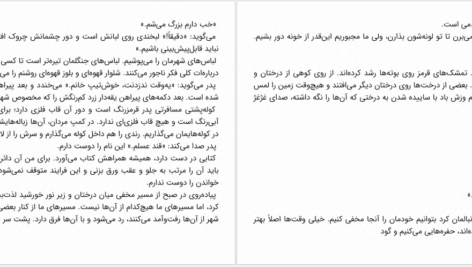 دانلود پی دی اف کتاب سکوت رهایی پیتر راک PDF
