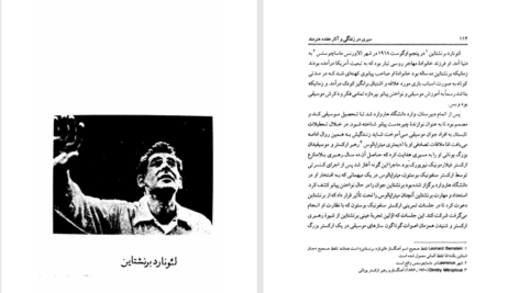 دانلود پی دی اف کتاب سیری در زندگی و اثار هفده هنرمند دکتر نورالدین سالمی PDF