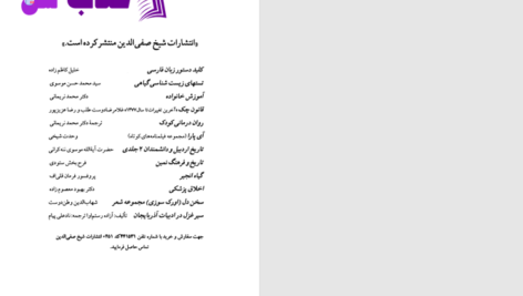 دانلود پی دی اف کتاب سیری در زندگی و اثار هفده هنرمند دکتر نورالدین سالمی PDF