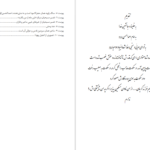 دانلود پی دی اف کتاب سیزدهمین حواری احمد الحسن PDF