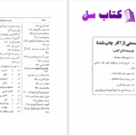 دانلود پی دی اف کتاب شاهنشاهی عضدالدوله علی اصغر فقیهی PDF