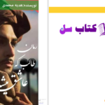 دانلود پی دی اف کتاب طالب که عاشق میشه هدیه محمدی PDF