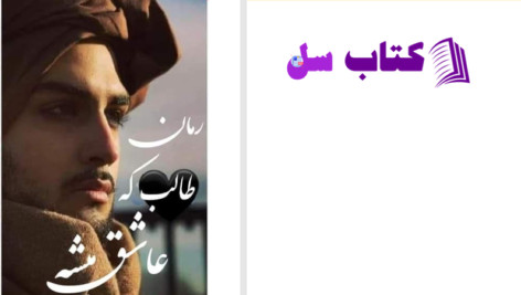 دانلود پی دی اف کتاب طالب که عاشق میشه هدیه محمدی PDF