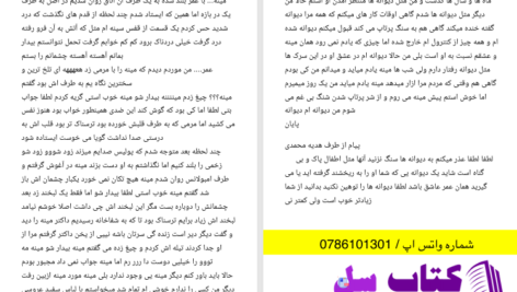 دانلود پی دی اف کتاب طالب که عاشق میشه هدیه محمدی PDF