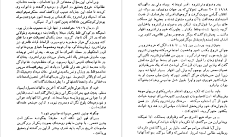 دانلود پی دی اف کتاب عقاب شماره یک فون هندریک کارل رنبلوم PDF