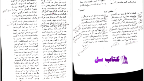 دانلود پی دی اف کتاب فارسی عمومی PDF