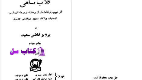 دانلود پی دی اف کتاب قلاب ماهی پرویز قاضی سعید PDF