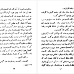 دانلود پی دی اف کتاب قلاب ماهی پرویز قاضی سعید PDF