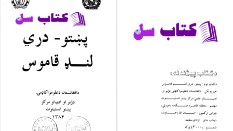 دانلود پی دی اف کتاب لغت نامه پشتو به فارسی دری دانشگاه افغانستان PDF