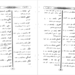دانلود پی دی اف کتاب لغت نامه پشتو به فارسی دری دانشگاه افغانستان PDF