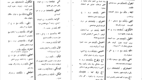 دانلود پی دی اف کتاب لغت نامه پشتو به فارسی دری دانشگاه افغانستان PDF