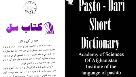 دانلود پی دی اف کتاب لغت نامه پشتو به فارسی دری دانشگاه افغانستان PDF