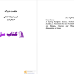 دانلود پی دی اف کتاب مانیفست سایبرگ دانا هاراوی PDF