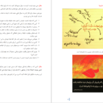 دانلود پی دی اف کتاب مدل ذهنی محمدرضا شعبانعلی PDF