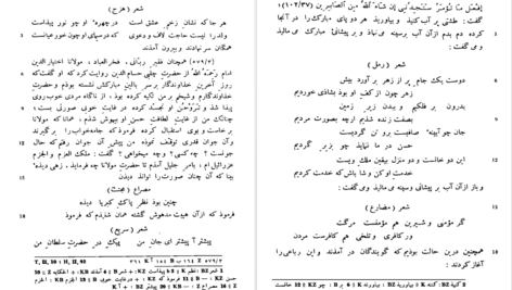 دانلود پی دی اف کتاب مناقب العارفین جلد دوم شمس الدین احمد افلاکی عارفی PDF