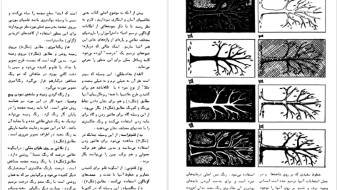دانلود پی دی اف کتاب نقاشی های ابتکاری و آسان شرکت تیزهوش PDF