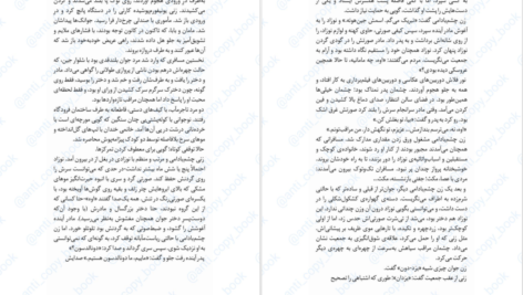 دانلود پی دی اف کتاب نقب زدن به آمریکا ان تایلر PDF