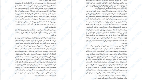دانلود پی دی اف کتاب نقب زدن به آمریکا ان تایلر PDF