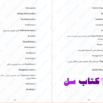 دانلود پی دی اف کتاب نقب زدن به آمریکا ان تایلر PDF