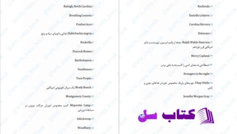 دانلود پی دی اف کتاب نقب زدن به آمریکا ان تایلر PDF