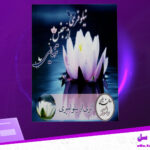 دانلود پی دی اف کتاب نیلوفری از جنس تنهایی نیلو امیری
