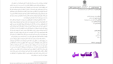 دانلود پی دی اف کتاب هنر تحریم ها نگاهی از درون میدان ریچارد نفیو PDF