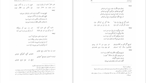 دانلود پی دی اف کتاب واژه های مازندرانی در اشعار نیما یوشیج فتوت نصیری سوادکوهی PDF