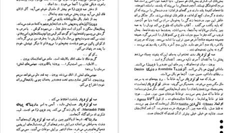 دانلود پی دی اف کتاب پا برهنه ها زاهاریا استانکو PDF