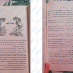 دانلود پی دی اف کتاب پادشاه پلید جلد دوم پادشاه پریان هالی بلک PDF