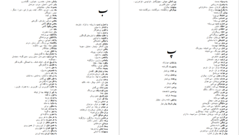 دانلود پی دی اف کتاب پارسی گویی به کوشش حسین قوامی PDF