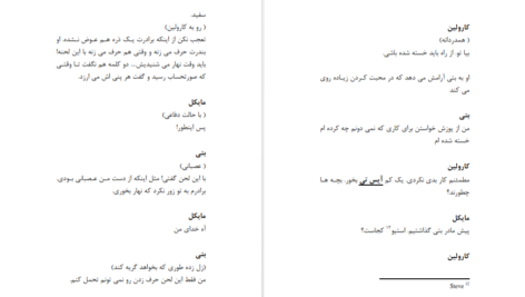 دانلود پی دی اف کتاب پل های مدیسن کانتی ریچارد گریونیز PDF
