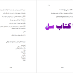 دانلود پی دی اف کتاب پل های مدیسن کانتی ریچارد گریونیز PDF