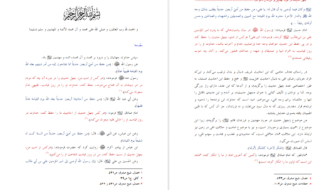 دانلود پی دی اف کتاب چهل حدیث درمورد مهدیین و فرزندان قائم شیخ ناظم عقیلی PDF