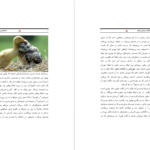 دانلود پی دی اف کتاب چگونه عاشقانه زندگی کنیم وین دایر PDF