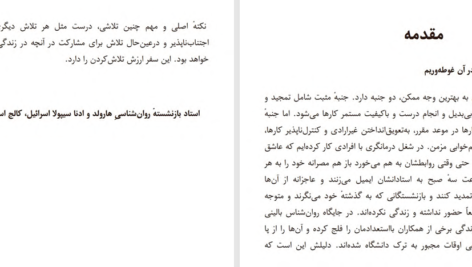 دانلود پی دی اف کتاب کمال گرای مضطرب حمیده عرب نژاد PDF