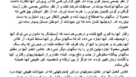دانلود پی دی اف کتاب روانشناسی تفاوت های فردی حمزه گنجی PDF