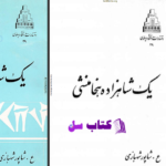 دانلود پی دی اف کتاب یک شاهزاده هخامنشی شاپور شهبازی PDF