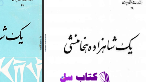 دانلود پی دی اف کتاب یک شاهزاده هخامنشی شاپور شهبازی PDF