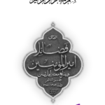 دانلود پی دی اف کتاب فضائل امیرالمؤمنین درمنابع اهلسنت مهدی صدری ج 6 PDF