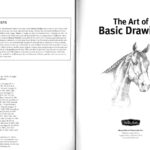 دانلود پی دی اف کتاب The Art of Basic Drawing Walter Foster PDF