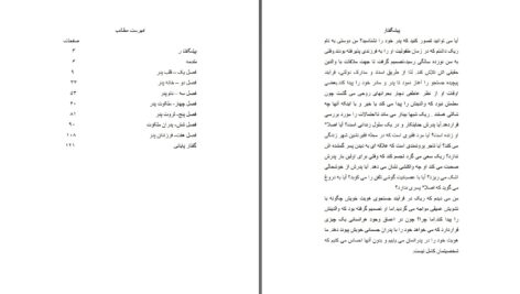دانلود پی دی اف کتاب پدر ، داستان ناگفته محبت دکتر سموبیل لیPDF