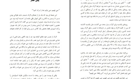 دانلود پی دی اف کتاب فریاد روح دن الندر ، ترمپر لانگمن PDF