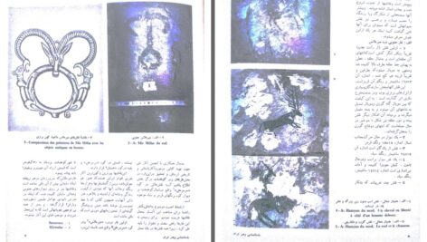 دانلود پی دی اف کتاب نقاشی های پیش از تاریخ در غارهای لرستان حمید ایزدپناه PDF