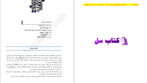 دانلود پی دی اف کتاب الماس جاودانگی نیلوفر حدادی PDF