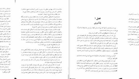 دانلود پی دی اف کتاب میزبان استفنی مه یر PDF