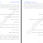 دانلود پی دی اف کتاب زندگی به سبک اورانگوتان صبا حسینی PDF