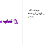 دانلود پی دی اف کتاب شب طولانی تیزدندان بیژن نیک بین PDF