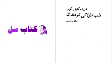 دانلود پی دی اف کتاب شب طولانی تیزدندان بیژن نیک بین PDF