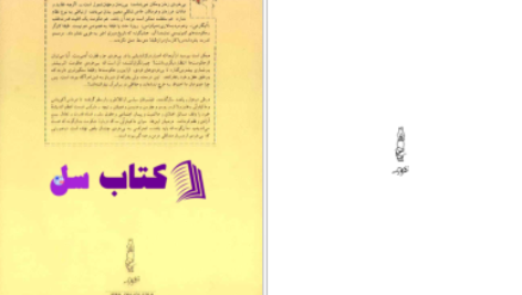 دانلود پی دی اف کتاب تاریخ بی خردی PDF